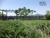 Apartma Sobe Pulec