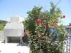 Hostal Agatopolis Villa