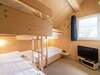 Luxurious Chalet Near Ski Area In Murau