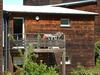 Nice Apartment With A Bbq, Near Montr�al Du Gers