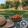 Agroturismo Casa Lata - Wine & Tourism