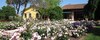 Agroturismo Agriturismo La Borina