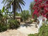 Casa de Campo Menorca Ca Savia