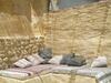 Maison D'anvers B&B
