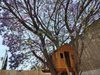 Hermosa Casa Con Jardin Y Alberca
