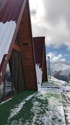 Hotel Bear Bungalov