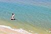 Crystal Shores West 1105 By Youngs Suncoast
