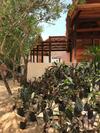Hotel Punta Caliza