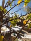 Hotel Riad Abaka By Ghali