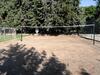 Club Turkuaz Garden Hotel