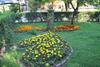 Club Turkuaz Garden Hotel
