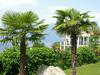 Apartamento Miralago 17