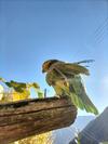 Bed & Breakfast Da Erminia