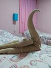 Apartamento Caba�a Vivir