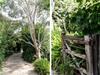 Oscar's Garden