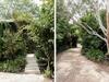 Oscar's Garden