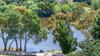 Balconies Lakeside - Studio Apartment 1