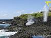 Headland Hideaway- Kiama
