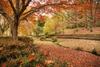 Little Haven Leura Cottage With Spa And Log Fire