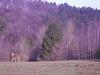 Scenic Holiday Home In Aywaille With Jacuzzi, Barbeque