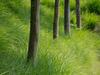 Holiday Home In Den�e, Halfway Between Namur And Charleroi