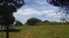 Camping Bar Da Porteira