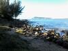 Ess�ncia Do Mar