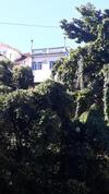 Hostel Sapucali