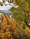 Apartamento Alpes - Valais - Au Chalet Les Roses