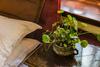 Floral Hotel Lincang Boutique Hotel