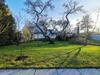 Apartamento _str132b_ Haus Maren Am Meer