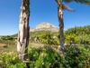 Villa Finca Labranza