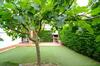 Casa Pins� 109