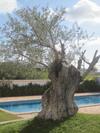 Hostal Outeiro Da Vila - Casas De Campo