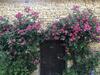 Blacksmiths Apartment In Blanzay - 1 Bed