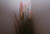 Hostal The Lavenders