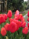 Wynberg House A Bed & Breakfast