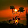 Exclusive Crete Villa Villa Argiris 4 Bedroom Private Pool Sea View Rethymnon