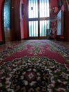 B&B Il Gelsomino