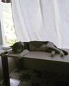Bed & Breakfast Villino Miraglia