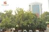 Hostal Moydom 3bhk Ultra Modern Apparment Opp Nfc Market