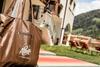 Hotel Alpenhof - Aktiv & Bike