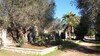 Agroturismo Agriturismo Salento Pietralata
