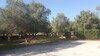 Agroturismo Agriturismo Salento Pietralata
