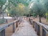 Agroturismo Agriturismo Salento Pietralata