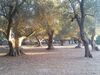 Agroturismo Agriturismo Salento Pietralata