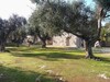 Agroturismo Agriturismo Salento Pietralata