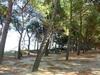 Apartamentos Locazione Turistica D'annunzio - Pit125-3