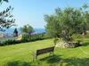 Apartamentos Locazione Turistica Primavera - Pgi132