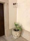 Palazzo Romanelli B&B